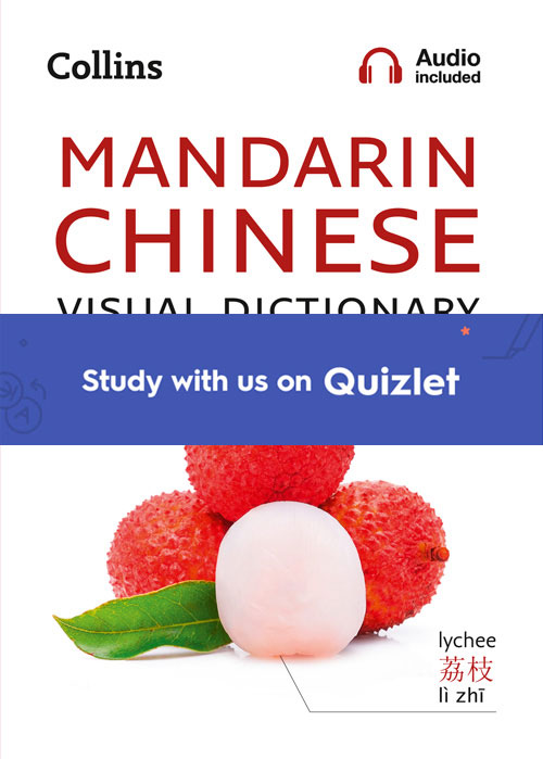 Collins Dictionary Definition, Thesaurus and Translations